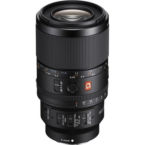 sony 100